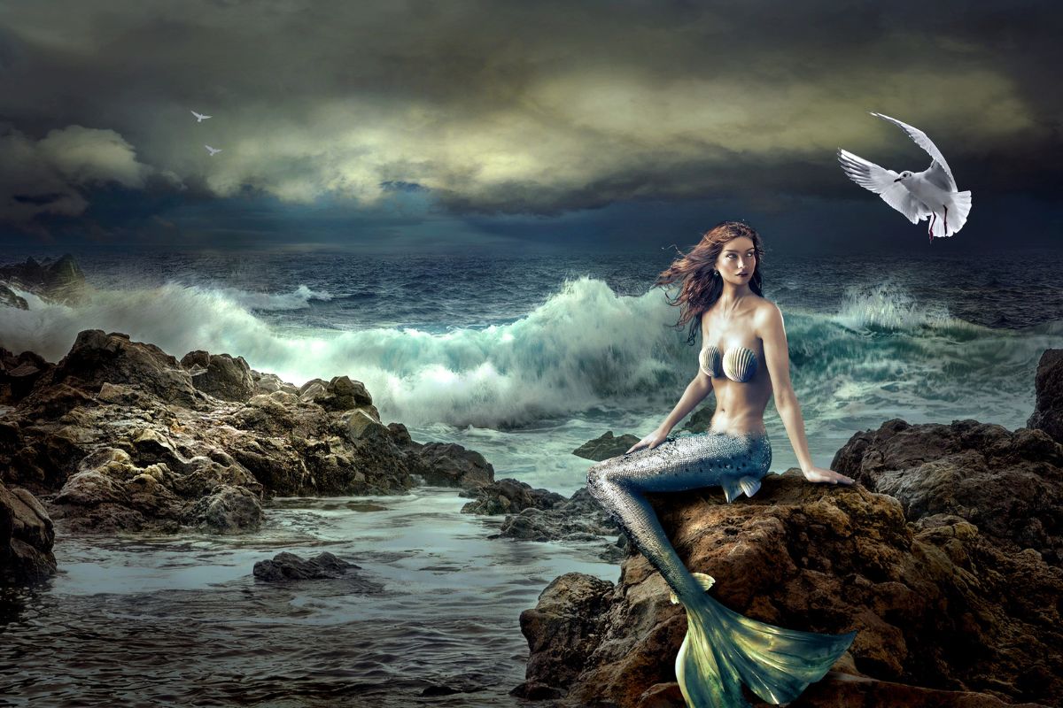 11 Amazing Mermaid Books To Captivate Your Imagination